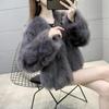 Winter Fox Hair Imitation Fur Jacket Short Young Fur Coat Female Korean Version Looks Thin and Trendy