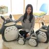 70cm Große Größe Lotusblatt Totoro Plüschtier Totoro Kuscheltier Tier Totoro Plüschtiere Kissen Sofa Bett Zimmer Dekoration Kindergeschenk