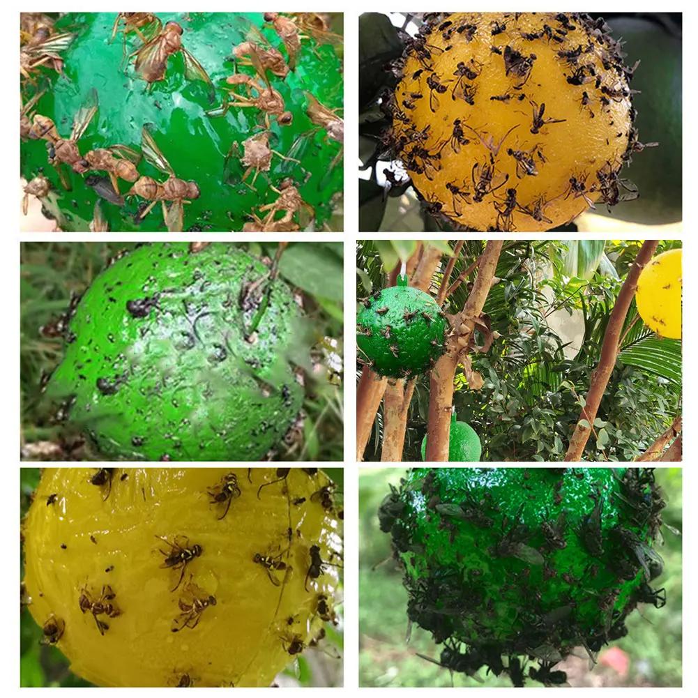 1-6PCS Ball Fruit Fly Catcher Pest Control Sticky Trap Wasp Bee Insect Trap Flying Insects Traps Ball for Catching Fruit Insects