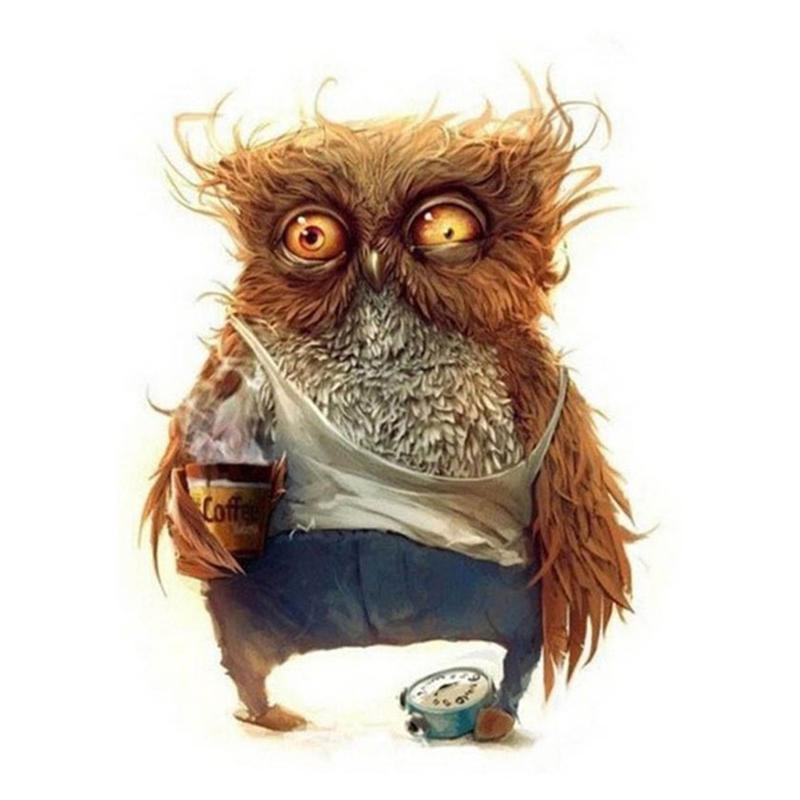 5D DIY Διαμαντοζωγραφική Κουκουβάγια Κιτ Σταυροβελονιάς Πλήρης Τρύπα Στρογγυλή Κέντημα Μωσαϊκό Κινούμενα Σχέδια Τέχνη Εικόνα από Στρας Διακόσμηση Δώρο