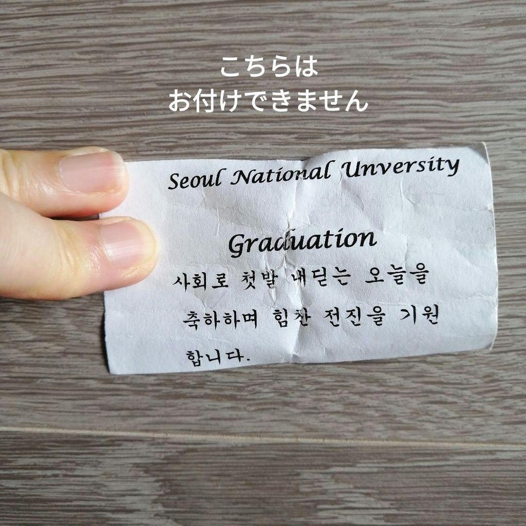 [USED] Extremely Rare Seoul National University Graduation Commemorative Teddy Bear
