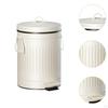 Step On Trash Can Dustbin Metal with Removable Inner Bucket Lid Wastebasket for Near Desk