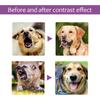 Yegbong Pet Soothing Spray: Daily Care for Emotional Well-being