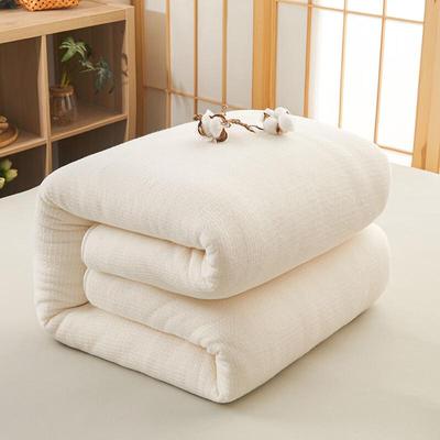Brangdy Thickened Cotton Quilt