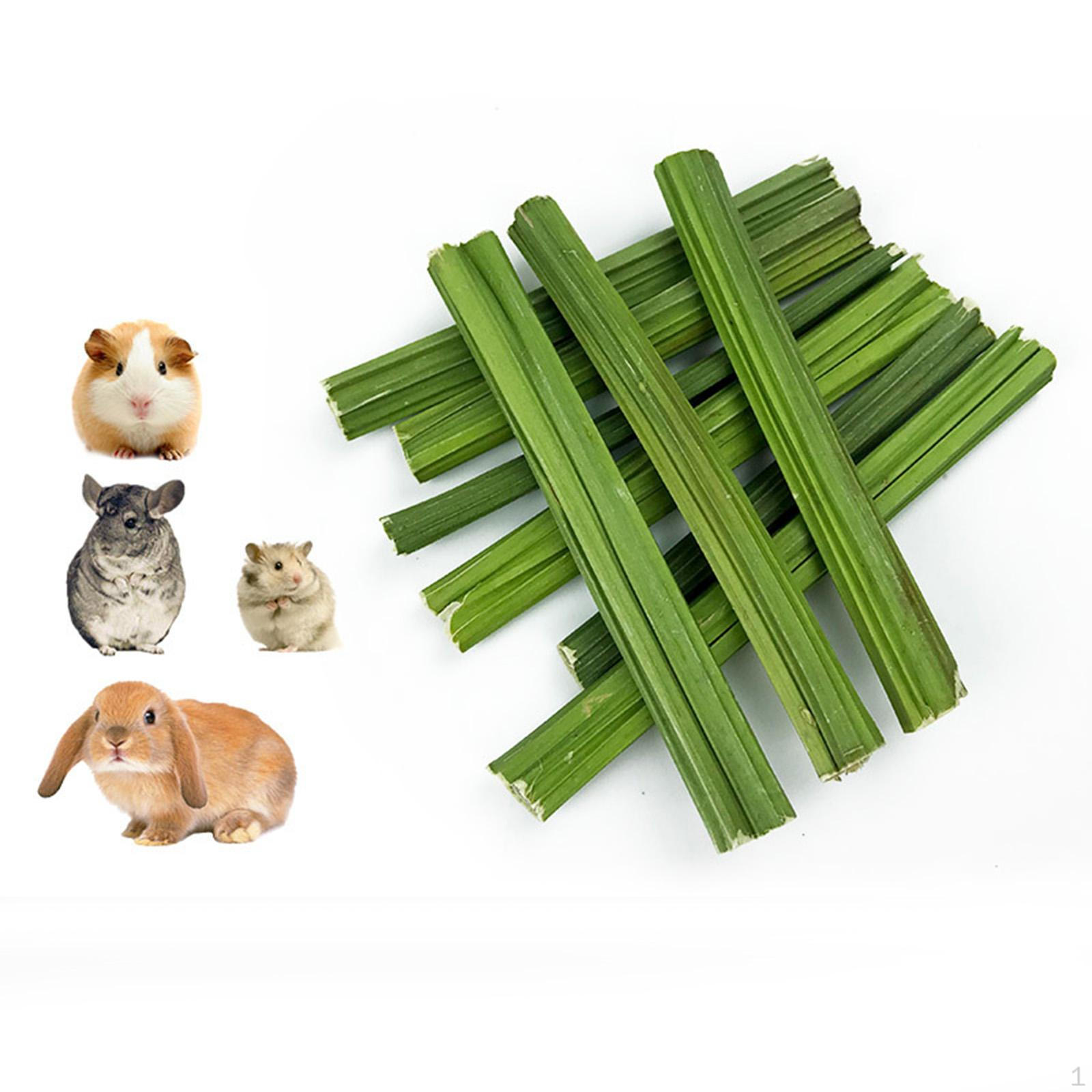 

Molar Chew Toy Papaya Stem, Chewing Toys Playing Bite, Toothbrush Rod for Guinea Pigs