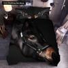 3D Horse Printing Duvet Cover Animal Bedding Set Twin Full Double Queen King Size for Kids Men Black Soft Quilt Cover Pillowcase