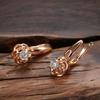 Fashion rose earrings women's zircon stud earrings wind ear buckle ear jewelry