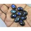 12X16MM Natural Labradorite Blue Fire Oval Cabochon Loose Gemstone 09Pcs Lot C-1091