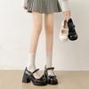 Mode schwarz französisch dicker Absatz High Heels Damen Sommer 2025 neu erhöhend Rock Mary Jane kleine Lederschuhe einzelne Schuhe
