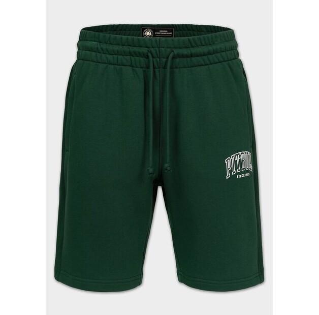 Спортивные шорты PITBULL BADGER EU XL