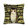 Gatto Gufo Divertente Maledetto Cervello Marcio da Internet Bootleg Meowl Federe Federa Divertente Per Divano Letto Salotto Copricuscino