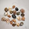 Handmade Seashell & Starfish DIY Photo Frame and Fish Tank Decoration