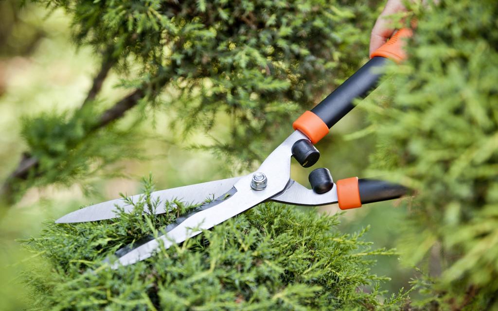 KADAX Forbici Cesoie Giardino Manuale Taglio Siepi Arbusti Affilato Solido