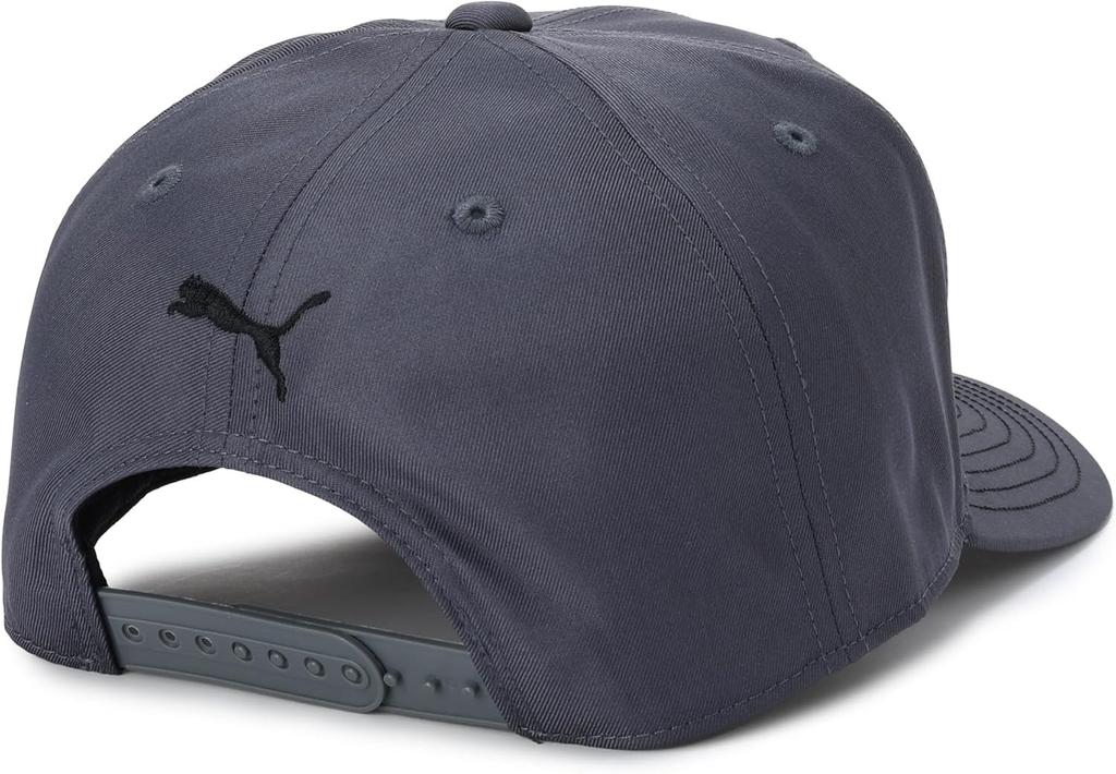 PUMA Golf Color Stitch P Cap 026770 Dusky Gray Free Size