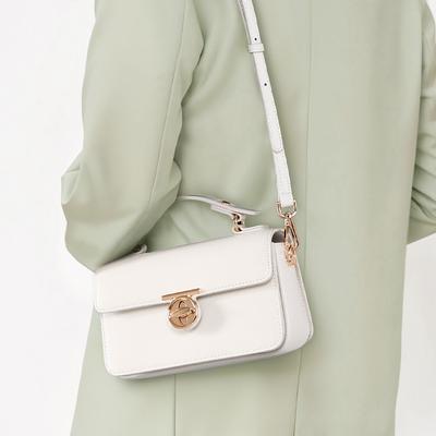 Borsa Busta di Lusso Design di Nicchia Borsa a Tracolla Moda Borsa da Donna per Pendolari Lavoro Borsa da Donna in Pelle Borsa a Mano