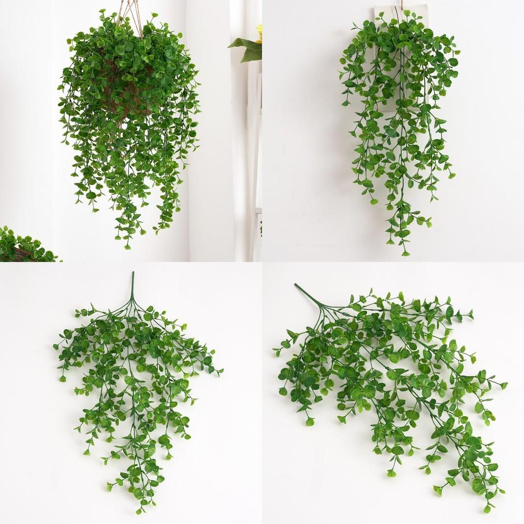 Wall Plant Eucalyptus Plastic Leaves Interior Design Photography Scenes