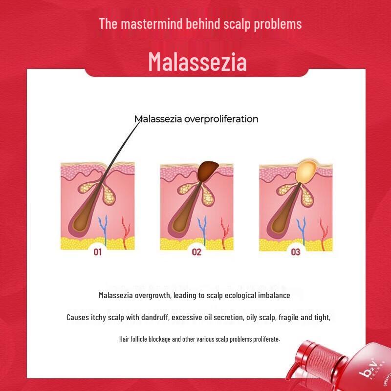 B2v Red Algae Anti-Dandruff Oil Control Shampoo