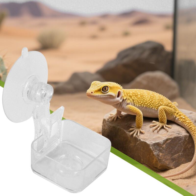 Chameleon Food Bowl Reptile Feeder With Suction Cup Habitat Decoration Pet Water Container Tray For Lizards Spider Tree Frogs