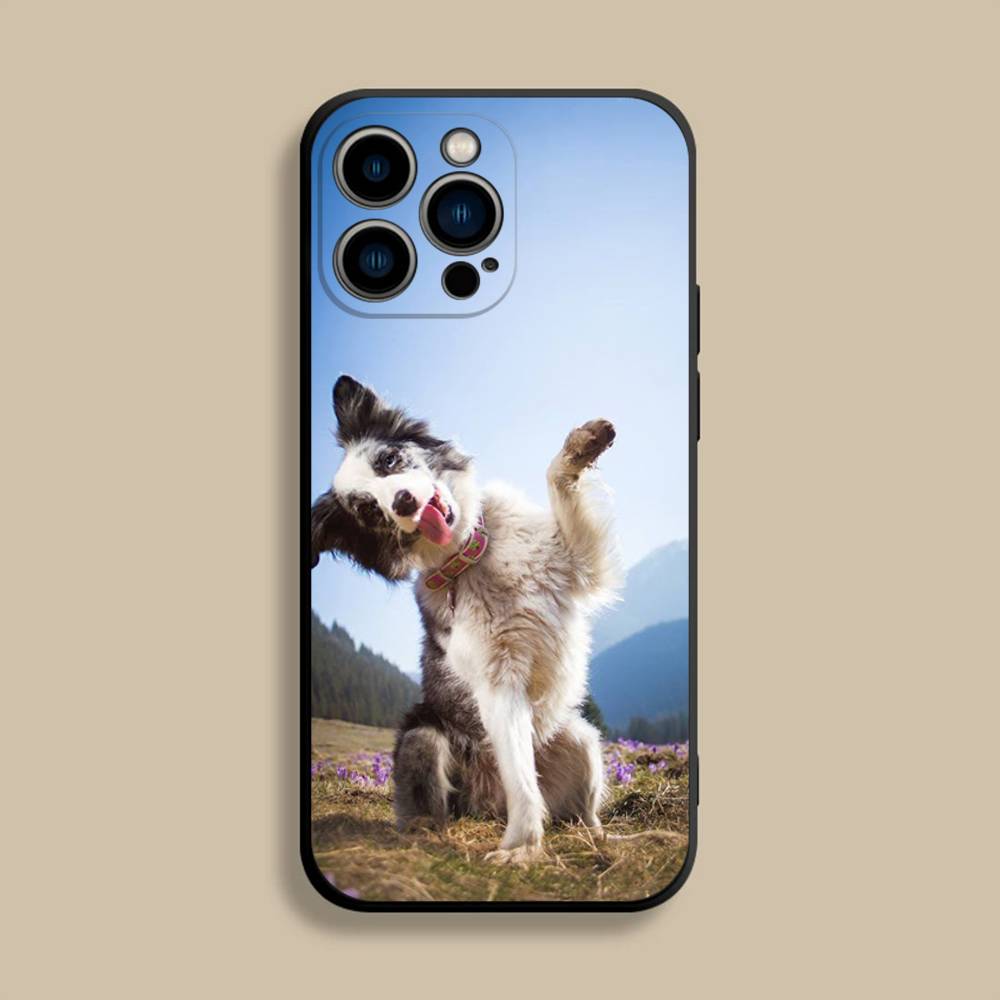 Border Collie Dog Phone Case For iPhone 17,16,15,14,13,12,Pro,Max,Plus,E,SE4,Air,Mini Black Soft Cover