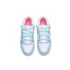 Nike Dunk Minimalist Style Low Top Skateboard Shoes Women's Sky Blue FJ7743-194(Team196-)