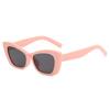Premium Feel Cat Eye Sun Glasses Women Men Sunscreen Luxury Fashion Sunglasses Seaside Party Female Male Eyeglasses