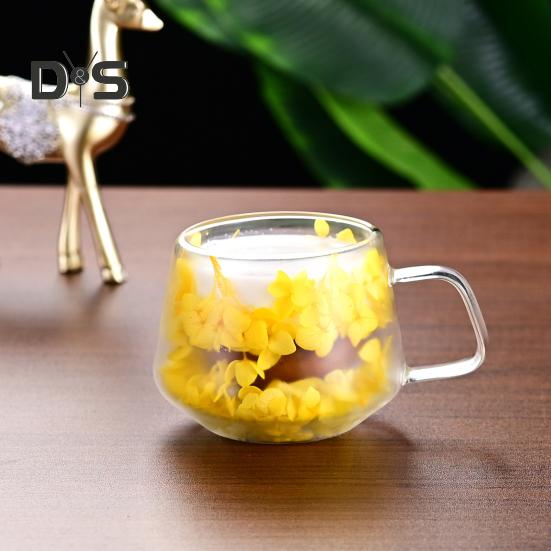 200ML Clear Glass Mug Double Wall Insulated Cup with Handle Aesthetic Dehydrated Flower Design Heat Preserving Tumbler for Coffee Tea