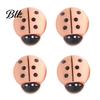 Magnetic Whiteboard Accessories 4Pcs 3D Ladybug Refrigerator Magnet, Mini Ladybird Resin Fridge Magnet Decorative Memo Note Holder for Kitchen Office
