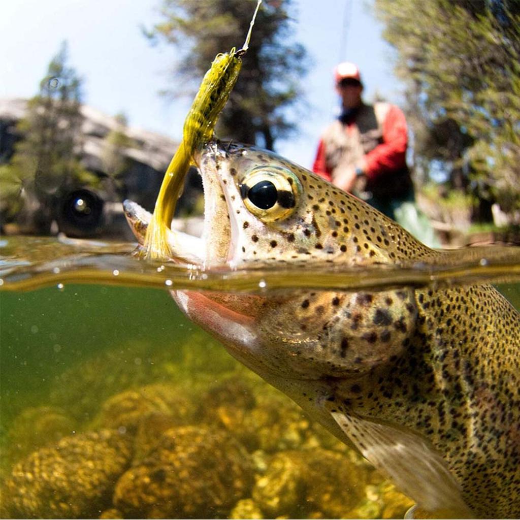 5 Stück Messingkopf Wooly Bugger Streamer Angel Fliegenköder Rot Schwarz Salzwasser Fliegenbindehaken Forellenfliegen Köder