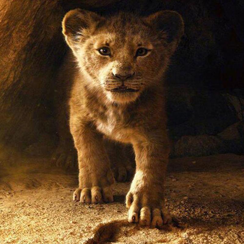 Cat Tiger Elephant DIY 5D Full Drill Diamond Painting Embroidery Cross Stitch