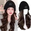 Warm Cap Ski Knitted Cap Wig One-piece Long Wavy Hat Wigs Beanies Hat with Hair Wigs  Autumn Winter