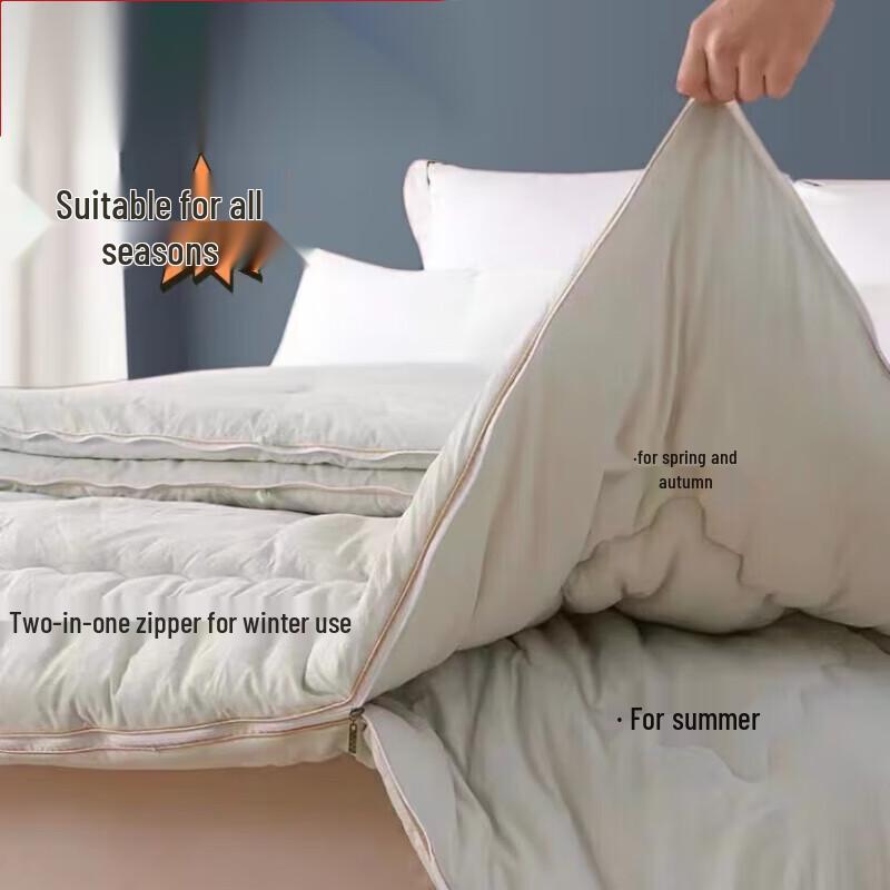 

LUOLAI Cotton Soybean All-Season Duo Comforter