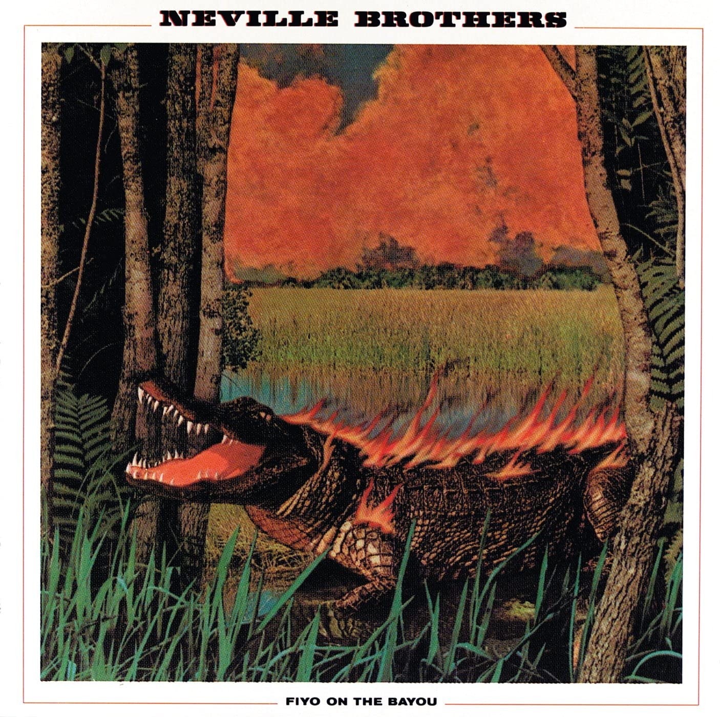 

CD NEVILLE BROTHERS - Fiyo on the Bayou CD4866DX1564 A&M 1987 US Rock Used
