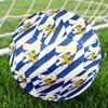 Ifk Lion Crest Emblem Size 5 Soccer Ball,Indoor/Outdoor Suitable for Training Matches Tournaments Practice Games Perfect Gift for Fan