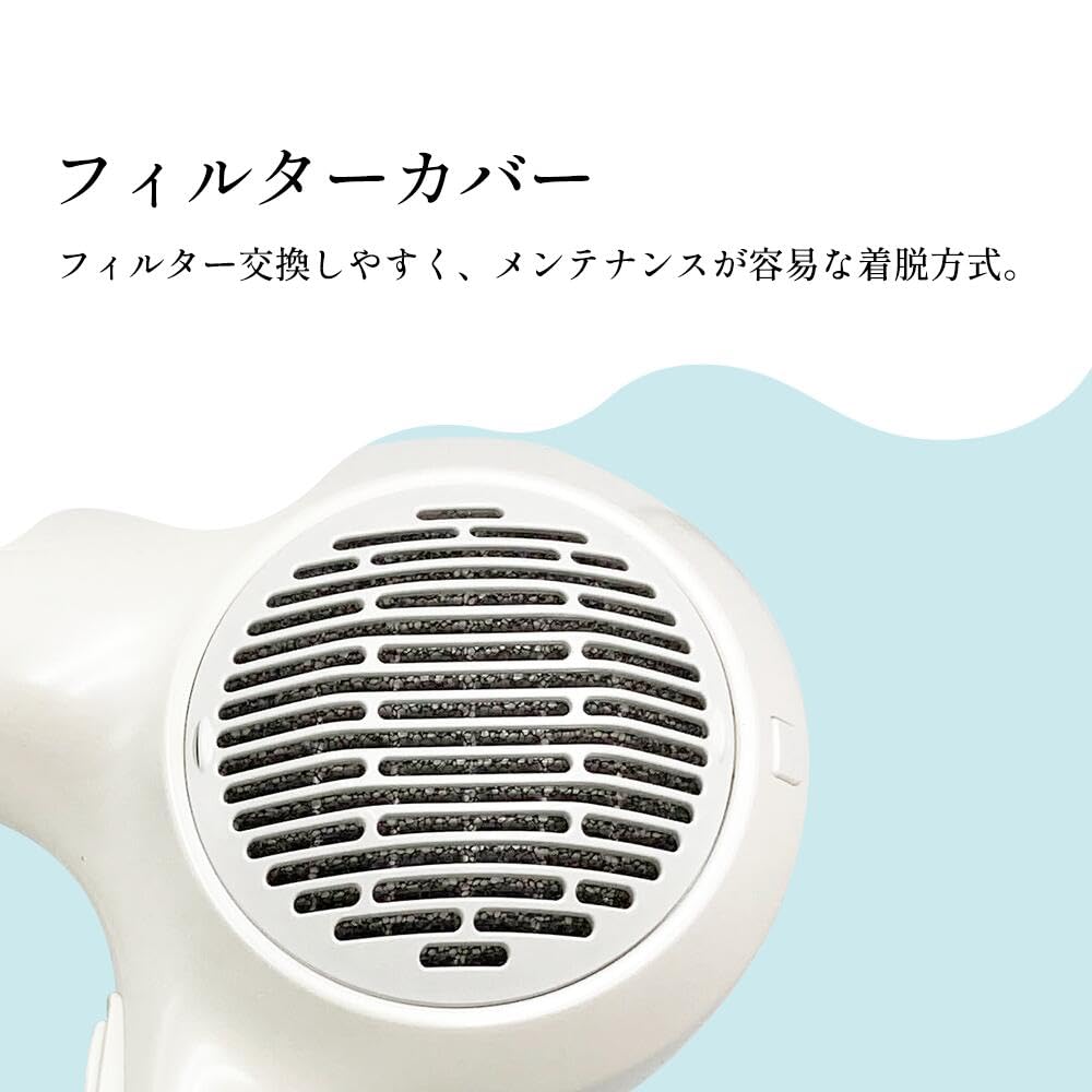 Nobby Negative Ion Hair Dryer NB3100 Large Air Volume Quick Drying 1500W Hairdressing Exclusive