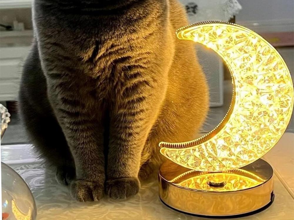 Diamond Moon Lamp (20) Gab_B