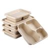ShouHe Biodegradable Sugarcane Pulp Food Containers and Lids