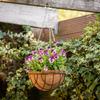 Hanging Flower Pot with Coconut Liner 30