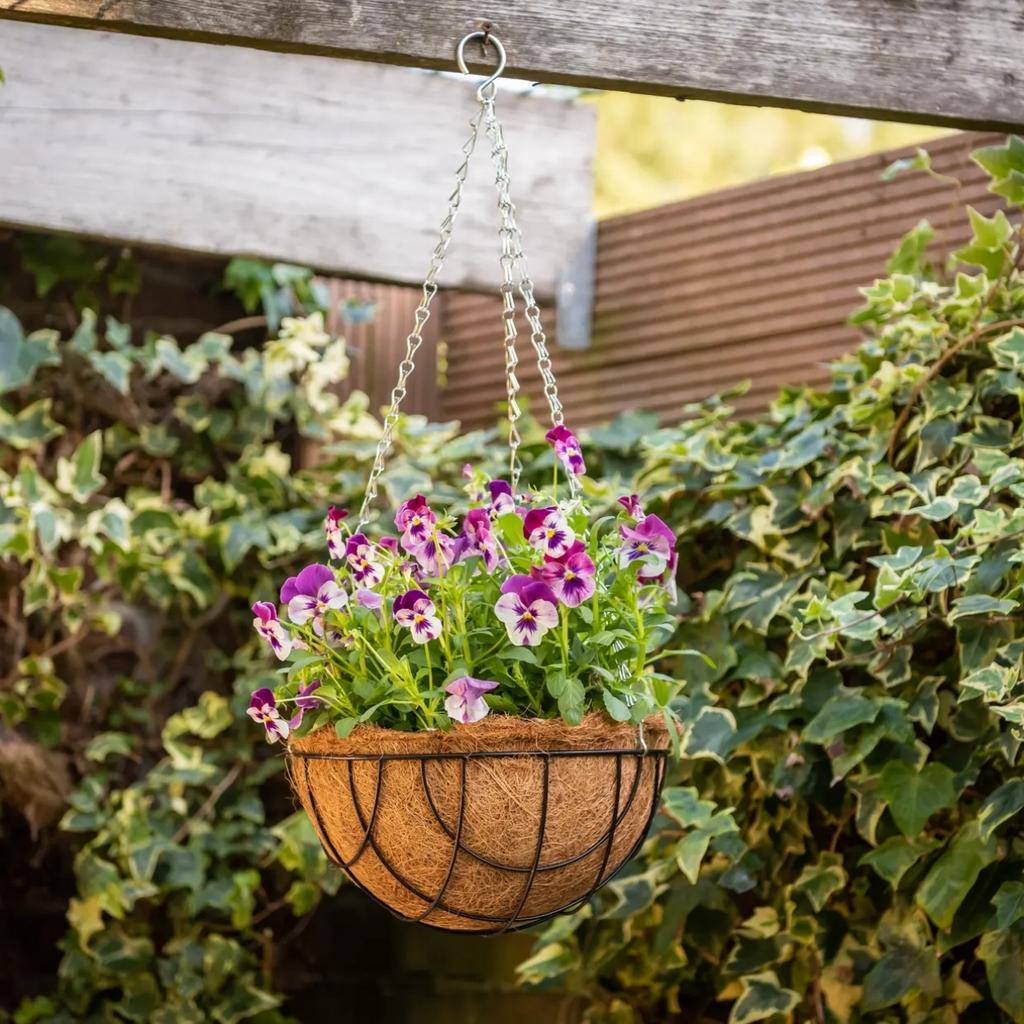 Hanging Flower Pot with Coconut Liner 30