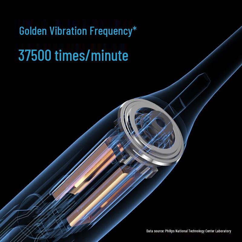 FLYCO FT7105 Smart Sonic Electric Toothbrush