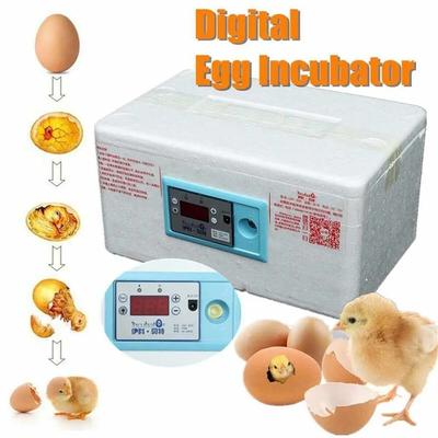High Quality Automatic Digital Incubator Poultry Hatcher Temperature Control Brooder 20 Eggs