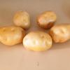 Pack of 4 Imitation Potato Models Artificial Vegetable Model Foam Texture Perfect for Home Decors and Party Displaying