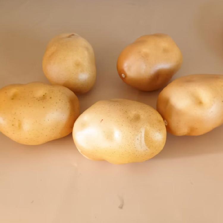Pack of 4 Imitation Potato Models Artificial Vegetable Model Foam Texture Perfect for Home Decors and Party Displaying