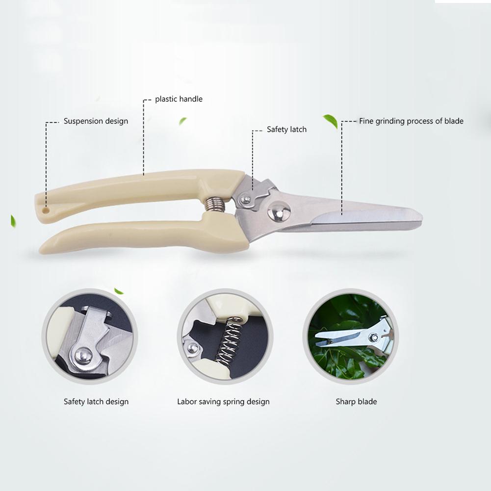 Stainless Steel Garden Shears Sharp Garden Pruning Shears Orchard Pruning Shears for Cutting Flowers Bonsai and Picking Fruit