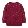 European Style Girls' Embroidered Long-Sleeve Pullover for Autumn