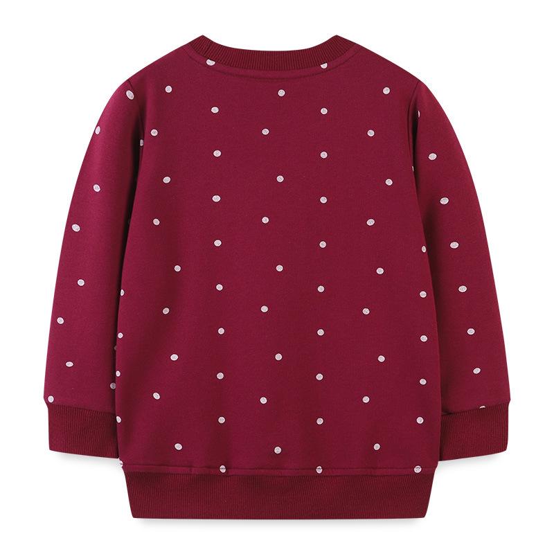 European Style Girls' Embroidered Long-Sleeve Pullover for Autumn