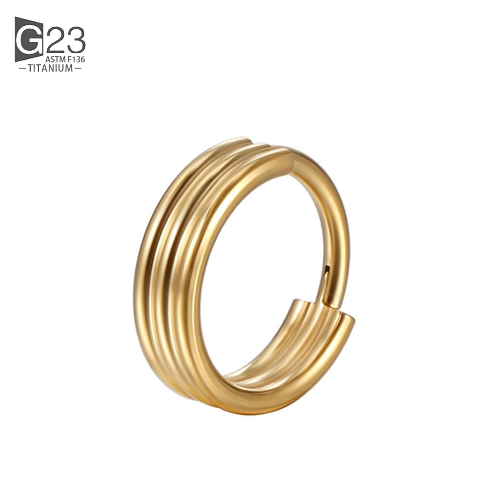 G23 Titan Piercing Doppellagig Dreifach Gestapelt Scharniert Zirkon Nasenring Helix Knorpel CZ Kleiner Knorpel Septum Clicker