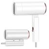 LISM Blue Light Ionic Hair Dryer