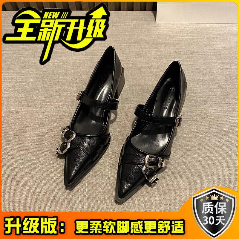 French Temperament Pointed High Heels Black Single Shoes Women's Shoes 2025 New Spring and Autumn Winter Mary Jane Small Leather Shoes