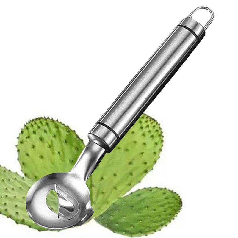 

1Pcs Stainless Steel Cactus Peeler Spoon Spoon Shaped Nopales Peeler for Home Kitchen Manual Tool CHINA