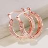 Huitan Women Hoop Earrings Hollow Out Engraved Design Elegant Lady Party Wedding Accessories Luxury Metal Jewelry for DailyGood Product